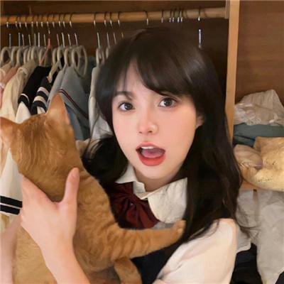 双生赤狐
